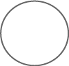 OBCHODNÍ LICENCE NA AMERICKÝCH AUKCÍCH